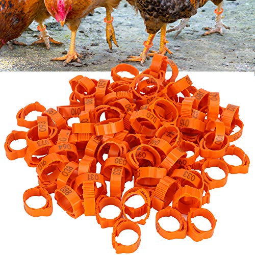 Geflügel Fuß Ring, 100 Stück 001-100 nummeriert Kunststoff Vogel Beinbänder Ringe Geflügel Hühner Enten Gans Beinbänder Ringe(Orange)