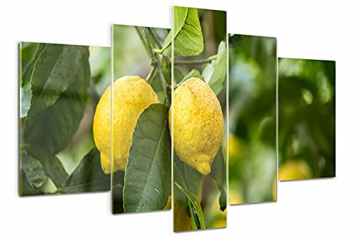 Tulup Acrylic Glass Picture 5 parts - Image Decoration 66.93 x 39.37 inch 170x100cm Wall Art Prints Acryl Glass Plastic Large Big Panels - Lemons on the tree