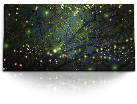 Paul Sinus Kunstdruck Bilder 120x60cm Glühwürmchen im Wald Baum Baumkrone Nacht