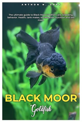BLACK MOOR GOLDFISH: The ultimate guide to Black Moor Goldfish care, breeding, behavior, health, tank mates, socialization, nutrition and lots more.
