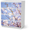 Möbelfolie passend für IKEA Malm Kommode 4 Schubladen I Möbelsticker - Möbel-Tattoo Sticker Aufkleber I Deko Ideen Wohnung für Schlafzimmer, Wohnzimmer - Design: Apple Blossoms