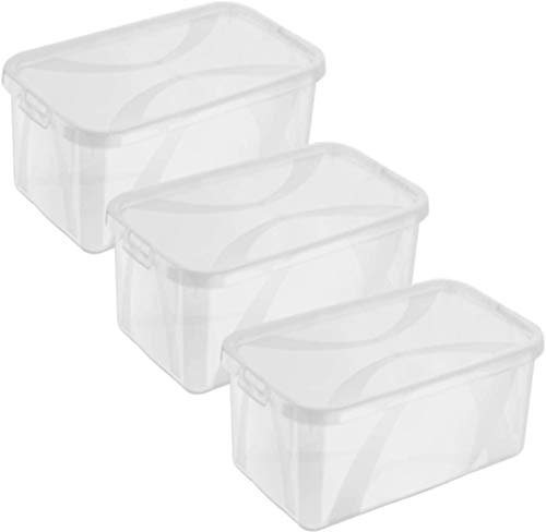 Rotho Arco 3er-Set Aufbewahrungsbox 5l mit Deckel, Kunststoff (PP) BPA-frei, transparent, 3 x 5l (34,4 x 20,0 x 10,6 cm)