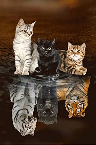 GAGALAM 3D Puzzel Für Erwachsene 3 Katzen Reflexionstiger Home Art Deco-Malerei