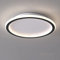 Schindora LED-Deckenleuchte, flach, 24 W, neutralweiß, 4500 K, 2700 lm, modern, ultradünn, schwarz, runde Deckenleuchten, Ø 315 mm, für Lounge, Wohnzimmer, Küche