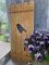 windschief-living Landhaus Fensterladen Vogel in Eiche, Shabby Antique chic Handgefertigt