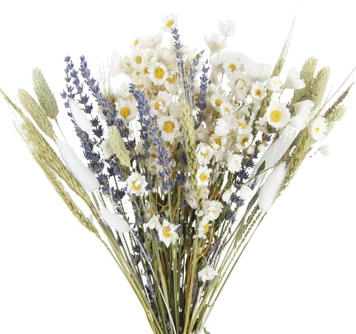 CEWUDA Trockenblumen Deko Trockenblumenstrauß Lavendel Gänseblümchen Naturliche Getrocknet Blumen Dried Flowers Pflanzen Blumenstrauß Boho Deko für Wohnzimmer Home Hochzeit Vasen Tischdeko