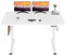 FitStand Höhenverstellbarer Schreibtisch mit 120x60cm Komplett-Tischplatte, Electric Lift Desk mit Memory-Funktion, Stehpult & Kindersicherung für Büro und Zuhause – Weiß