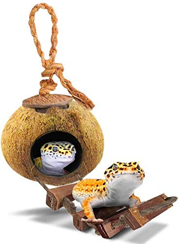 SunGrow Leopard Gecko Kokosnussschalenhütte mit Leiter, mit Muschelöffnung, Höhlenlebensraum mit Aufhängeschlaufe, 1 Stück pro Packung
