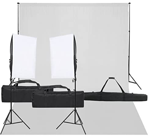 vidaXL Fotostudio-Set mit Beleuchtung und Hintergrund, Studio-Kit, Tageslicht-Lampe, Studio-Beleuchtung-Set, Studio-Licht, Fotografie-Licht