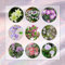 6 Pcs Clematis Pflanzen Zwiebeln - Blühwiese Mehrjährig, Geschenk Garten Clematis Winterhart Zwiebel (Clematis Florida) Blumen Geschenk, Deko Wohnzimmer Winterharte Kübelpflanzen