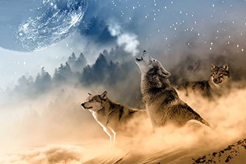 hansepuzzle 35424 - Wolf Puzzle 2000 Teile | Tierwelt Puzzle mit hochwertiger Puzzle Aufbewahrung: Kartonbox und Wieder verschließbarem Beutel | Puzzle-Maße: 90 x 60 cm