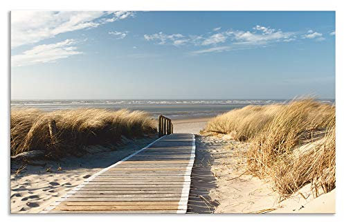 ARTland Spritzschutz Küchenrückwand aus Alu für Küche Herd Spüle 80x50 cm (BxH) mit Motiv Natur Strand Meer Nordsee Dünen Gräser Steg Maritim T5RM