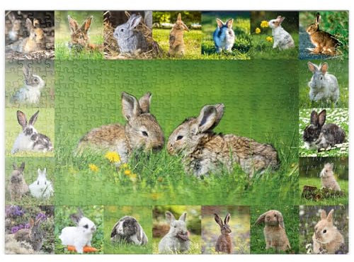 MyPuzzle Hasen & Kaninchen - Collage No. 5 - Premium 500 Teile Puzzle - MyPuzzle Sonderkollektion von Starnberger Spiele
