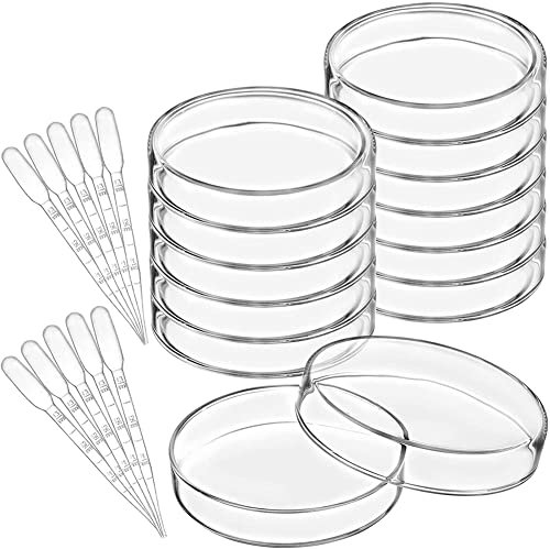 SAHROO 10 Stück Glasschalen mit Kunststoffpipetten, 100 x 20 mm, bakterielle Schalen für Schule, Labor