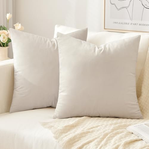 Slozzi 2er Set Samt Kissenbezüge Haushalt Dekokissen Dekorative Kissenhülle Weich Sofakissen für Sofa Schlafzimmer Wohnzimmer 40x40 cm Creme Weiß