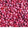 Frijol, SALVADOREÑO pequeñas de color rojo/Frijol Rojo de Seda, la herencia de Bush 300 semillas