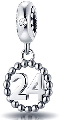 24 Number Bracelet Charms,925 Sterling Silver Pendants Beads Fit Pandora Charm Bracelets, Necklace, and European Snake Chain, Dangle for Happy Birthday 24th Anniversary 24 Years