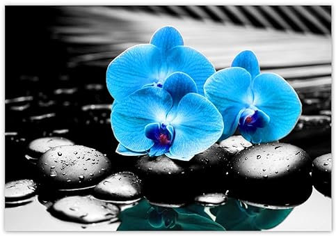 Vlies Tapete Premium Vlies Wand Dekoration 368x254cm Türkise Orchidee Blume No.H5610M_TV5BF