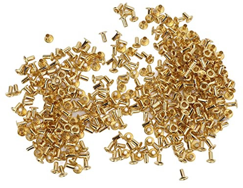 Tissting 500 Pezzi Rivetti Cavi in Ottone Placcato Oro con Foro Passante Rivetti Cavi in Rame Set Fai da Te Foro Passante in Ottone Decorativo Rivetti Cavi Fibbie ad Aria in Rame (4.8x2.3x5.5mm)