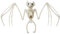 Smiffys Accessoire squelette de chauve-souris, Naturel, 30cm x17cm x 5cm