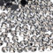 500pcs 5mm Flat Back Non-Stick Rhinestone Crystal Diamantes Nail Art & Craft Scrapbooking Embellishments 90 Available Colours (5mm, Gun Metal #35)