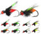 Esche per pesca a mosca, pesce persico, 10 esche da pesca per trote, set di mosche in acqua salata, acqua secca, esche senza ardiglioni, esche animate per persico, trota, pan