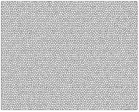 DIWARO. Moosgummi-Dichtung 40x50mm | schwarz | 5 Meter | geeignet als Türdichtung für die Montage in Türzargen.