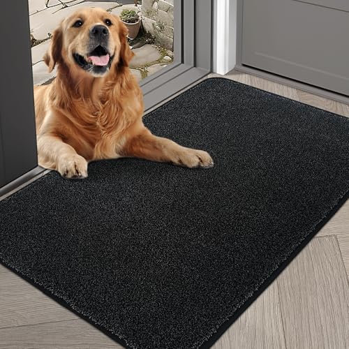 COSY HOMEER Nonslip Door Mats Indoor, 80 x 120cm Washable Dirt Trapper Welcome Front Doormat for Entryway Room Hallway, Absorbent Indoor Floor Mat for Muddy Shoes & Pets and Dogs, Black