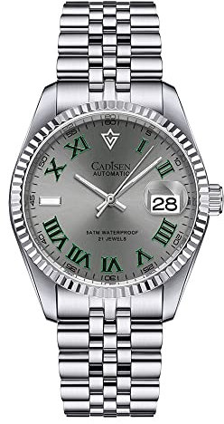 FINNIAN CADISEN Automatik Uhr Herren Mechanische 38MM Saphirglas Und Edelstahlarmband Automatikuhr (8211 grau)