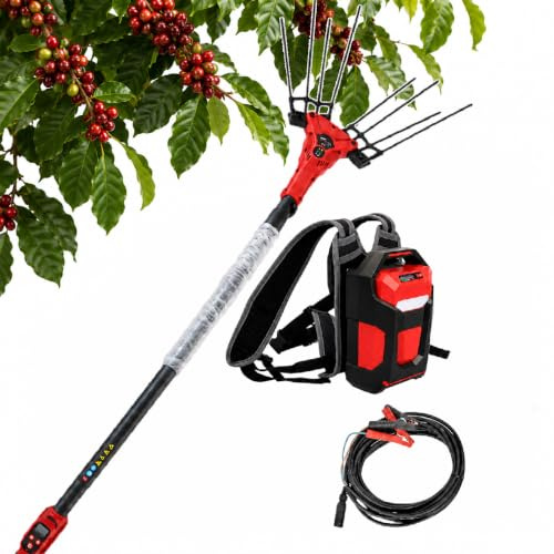 Sushangmao Abbacchiatore Elettrico per Olive, Pettine Telescopico per La Raccolta delle Olive con Asta Regolabile da 2 M A 3 M E Cavo da 10 M per Oliveti E Frutteti 600w