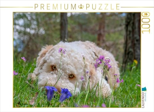 CALVENDO Puzzle Lagotto Romagnolo im Enzian | 1000 Teile Lege-Größe 64 x 48 cm Foto-Puzzle für glückliche Stunden