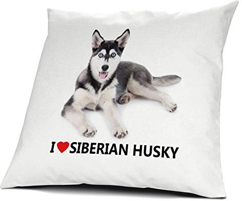 printplanet® Kopfkissen Siberian Husky, Kissen mit Füllung I Love Siberian Husky, 40 cm, 100% Baumwolle
