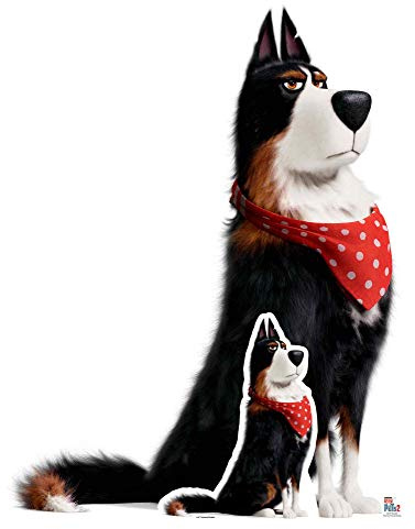 Star Cutouts Ltd SC1377 Rooster Sheepdog Secret Life of Pets Lifesize Cardboard Cutout/Standee/Standup Height 127cm Width 99cm Perfect for Fans, Collectors and Events, Multicolour