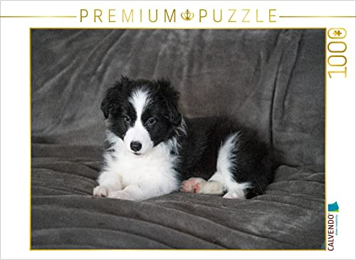 CALVENDO Puzzle Holly | 1000 Teile Lege-Größe 64 x 48 cm Foto-Puzzle für glückliche Stunden