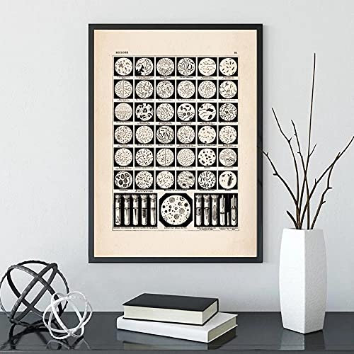 Bilder, Poster, Gemälde, Mikrobiologie Bakterien Mikrobe Kunstdruck Alte Medizin Poster Wissenschaft Wandkunst Bilder Leinwand Malerei Biologie Studie Büro Dekor Poster Und Drucke - 50X70Cm