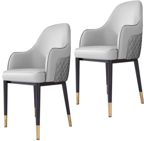 AMENAS Küche Küche Esszimmerstühle 2er Set PU-Leder Wohnzimmer Akzent Armlehnstühle mit Karbonstahl-Metallbeinen für Zuhause kommerzielle Restaurants Wohnzimmer Stühle (Farbe: Grau)