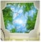 YOZYOOOZ Deckenblauer Himmel, weiße Wolken, Tauben und grüne Bäume, 3D-Wandbilder, Abreiß- und Klebetapete, geeignet für Schlafzimmer, Wohnzimmer, TV-Hintergrunddekoration