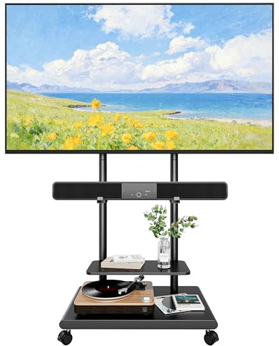 ECOTINY TV Ständer Rollbar mit Soundbar Halterung für 37-75 Zoll bis 70kg