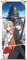 CoolChange Großes Sword Art Online Rollbild | Kakemono aus Stoff | Poster 100x40cm | Motiv: Asuna & Kirito
