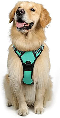 rabbitgoo Hundegeschirr Mittelgroße Hunde, Anti Zug Geschirr mit Kontrolle, No Pull Verstellbar Hundegeschirr Grosse Hunde, Atmungsaktiv Reflexstreifen Brustgeschirr Sichere Führung Grün XL