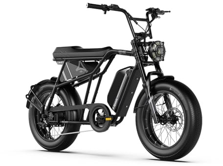 Aspadz Cavet Air Fat-Tire-Elektrofahrrad, 48V 250W Motor, 15,6Ah Batterie, 7-Gang-Schaltung, Doppelsitz, TFT-Display, E-Bike für Männer und Erwachsene (CAVET AIR, Jet Black)