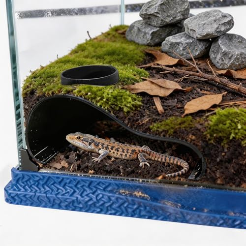 Nero Rettile Sotterraneo Caverna Visualizzazione Nascondere Lucertola Hognose Leopardo Serpente Geco Habitat Serbatoio Arricchimento Rettile Decorazione Accessori Ornamenti Forniture