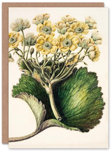 Artery8 Sarah Featon Art Card New Zealand Korikori Buttercup Flower