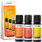 Casida® Zitrusöle Set mit Orangenöl, Grapefruit Öl und Zitronenöl - Ätherisches Öle Set, naturrein - Therapeutische Qualität – für Aromatherapie, Aromadiffuser - Aus der Apotheke - 30 ml