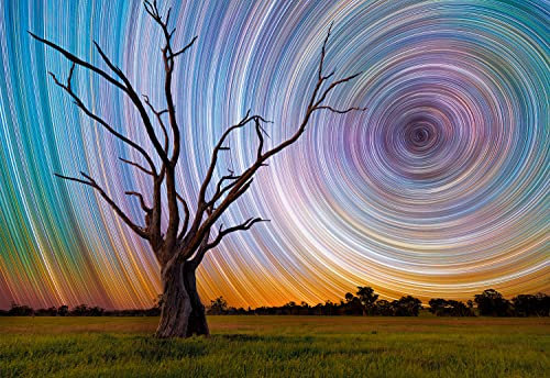 Buffalo Games - Zentrifuge - 1500 Teile Puzzle