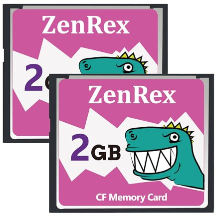ZenRex Lot de 2 cartes mémoire CompactFlash CF Card UDMA haute vitesse pour Camere 2 Go