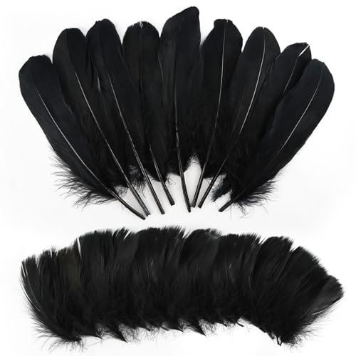 Federn zum Basteln, 300 Stück Schwarze Federn, Natürliche Federn Basteln, Bastelfedern Deko für Traumfänger, Ohrring, DIY Basteln, Kopfschmucksfedern, Hochzeit (2 Stile)