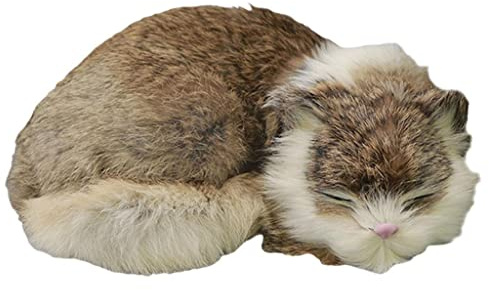 predolo Süße Plüschkatze Plüschtier, Katzenfigur, Schlafende Katze, Kindergeschenk Fotografie Requisiten. 21x17x7cm, Grau-braun