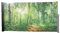Garden Pleasure Seitenmarkise Motiv Waldlichtung grau 160x300 Markise Seite Balkon Sichtschutz