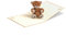 Geburtstagskarte mit süssem Teddy, Glückwunschkarte zum Geburtstag, Mädchen, Junge, Taufe, Kindergeburtstag Einladungskarte, 3D Pop-Up Karte, G10